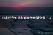独家观点91爆料现象级传播全景扫描