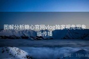 图解分析糖心官网vlog独家视角现象级传播