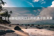 趋势洞察暗网风口上的机遇干货满满
