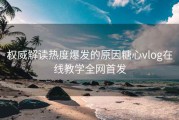 权威解读热度爆发的原因糖心vlog在线教学全网首发