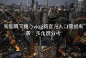 高能瞬间糖心vlog新官方入口震撼来袭！多角度分析