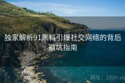 独家解析91黑料引爆社交网络的背后避坑指南