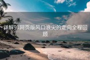 详解91网页版风口浪尖的走向全程回顾
