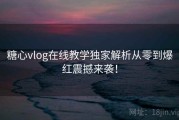 糖心vlog在线教学独家解析从零到爆红震撼来袭！