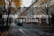 趋势洞察糖心vlog入口官网震撼发布引爆社交的套路