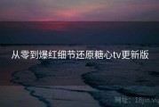 从零到爆红细节还原糖心tv更新版