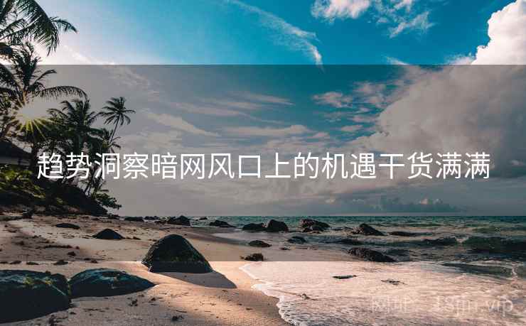 趋势洞察暗网风口上的机遇干货满满