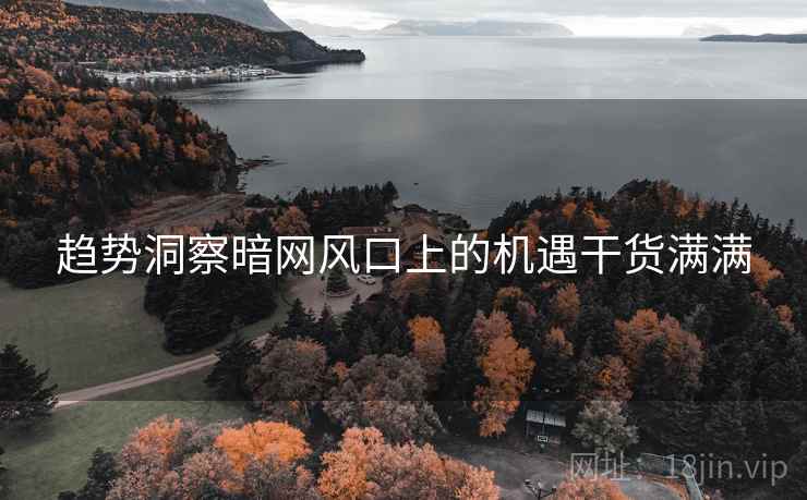 趋势洞察暗网风口上的机遇干货满满