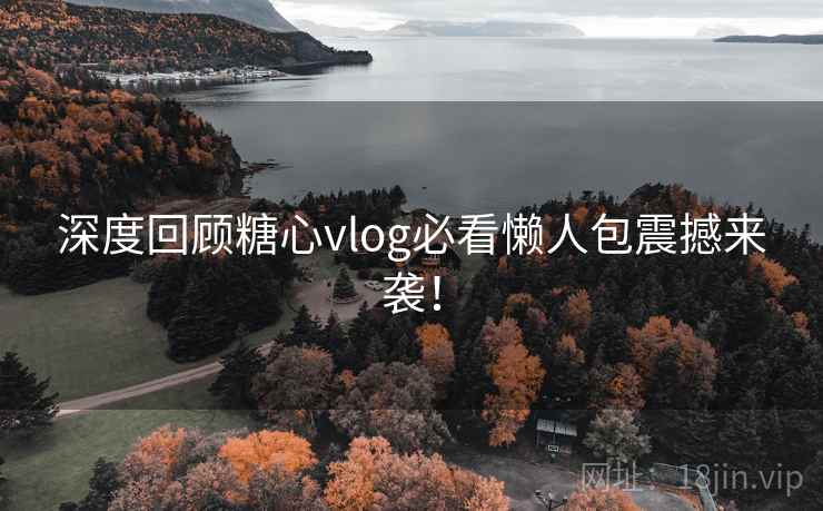 深度回顾糖心vlog必看懒人包震撼来袭！