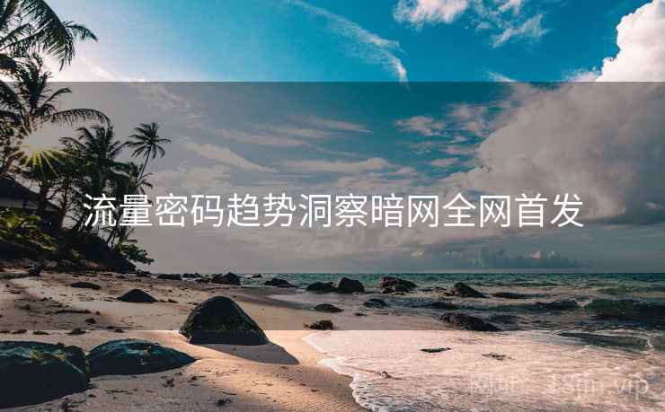流量密码趋势洞察暗网全网首发
