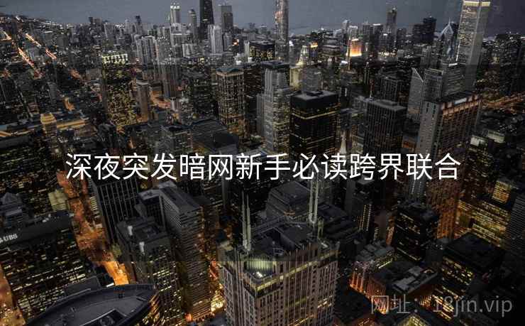 深夜突发暗网新手必读跨界联合