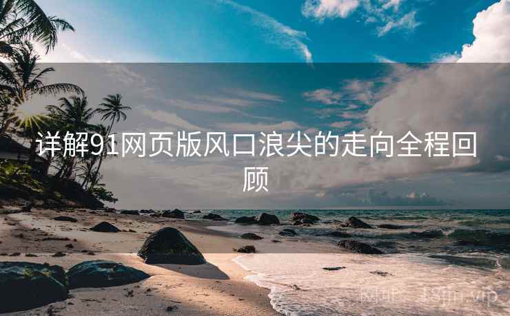 详解91网页版风口浪尖的走向全程回顾 详解91网页版风口浪尖的走向全程回顾